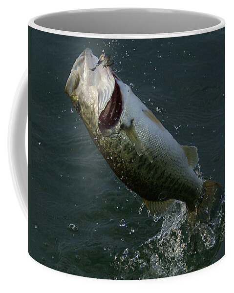 Nature Coffee Mug featuring the photograph Hooked by Chauncy Holmes