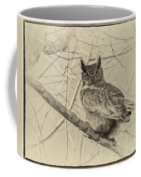 Owl Coffee Mug featuring the photograph Hootie by Ken Kobe