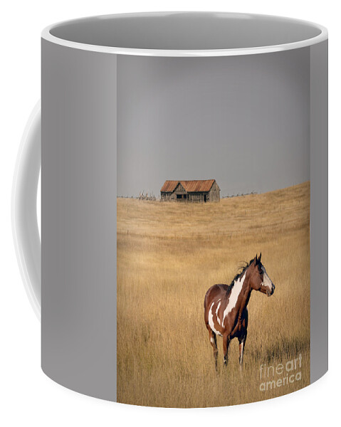 Horse Coffee Mug featuring the photograph Horse and Barn by Jill Battaglia
