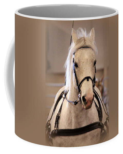Horse Coffee Mug featuring the photograph Horse Before the Cart by Lynn Sprowl