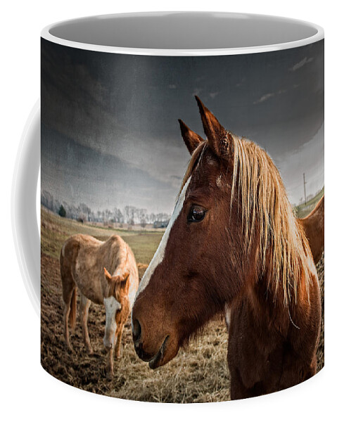 Adam Coffee Mug featuring the photograph Horse Composition by Brett Engle