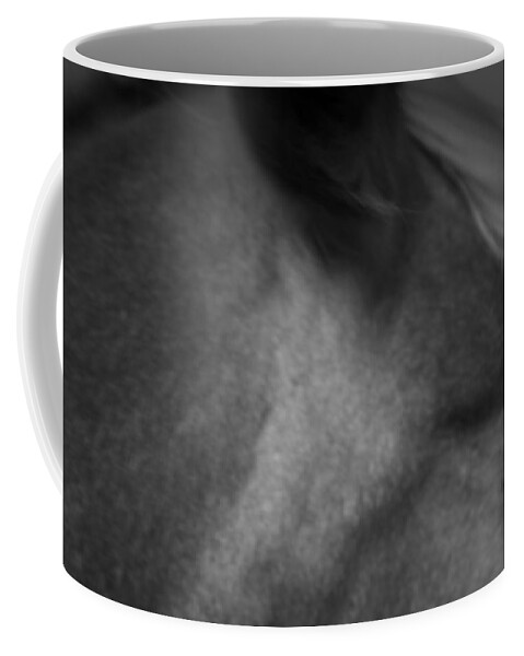 Horse Coffee Mug featuring the photograph Horse Play by Mark Ross
