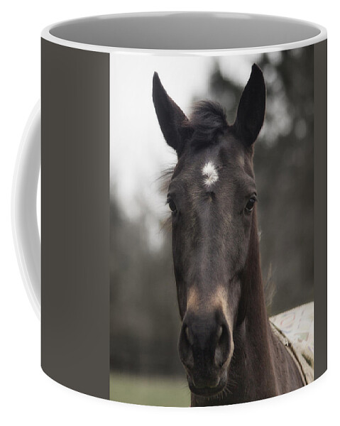 Horse Coffee Mug featuring the photograph Horse with Gentle Eyes by Belinda Greb