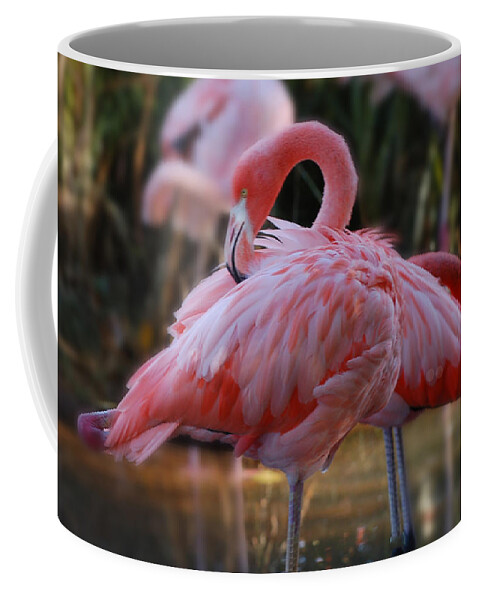 Flamingo Coffee Mug featuring the photograph face mask Hot Pink by Patricia Dennis