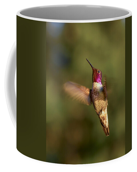 Humming Bird Coffee Mug featuring the photograph Hovering Hummer by Jean Noren