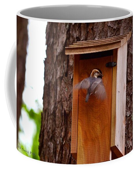 Hovering Coffee Mug featuring the photograph Hovering by Tara Potts