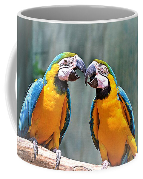 Parrots Coffee Mug featuring the photograph How About a Little Kiss by Tara Potts