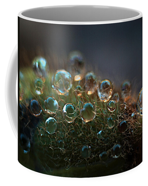 Dew Coffee Mug featuring the photograph How Bizzahh by Joe Schofield