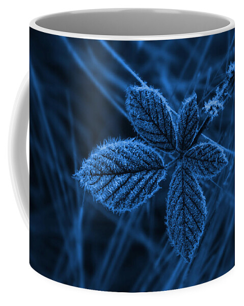 Frost Coffee Mug featuring the photograph How Cold by Keith Hawley