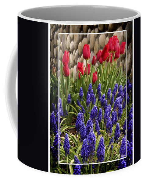 Hudson Gardens Coffee Mug featuring the photograph Hudson Blue and Red by Peggy Dietz