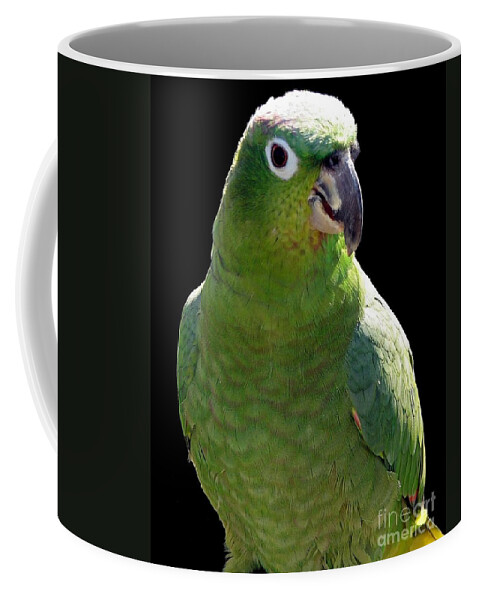 Parrot Coffee Mug featuring the photograph Huey the Mealy Amazon Parrot by Rose Santuci-Sofranko