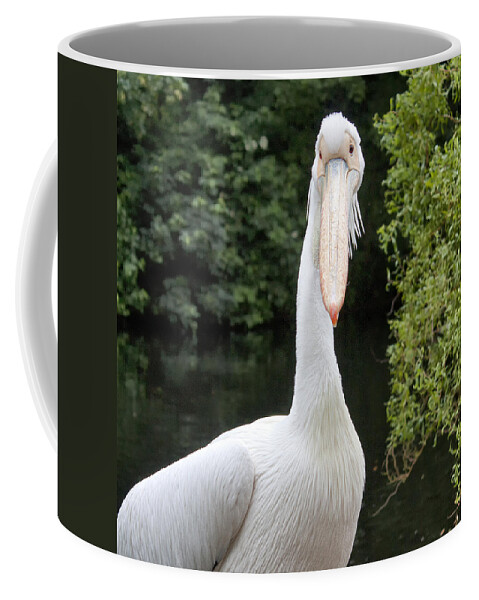 Nature Coffee Mug featuring the photograph Huh by Shirley Mitchell