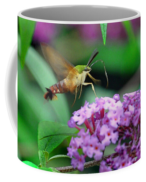 Nature Coffee Mug featuring the photograph Hummingbird Clearwing Moth by Gary Keesler