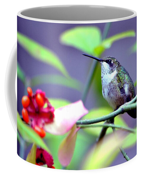 Hummingbird Coffee Mug featuring the photograph Hummingbird by Deena Stoddard
