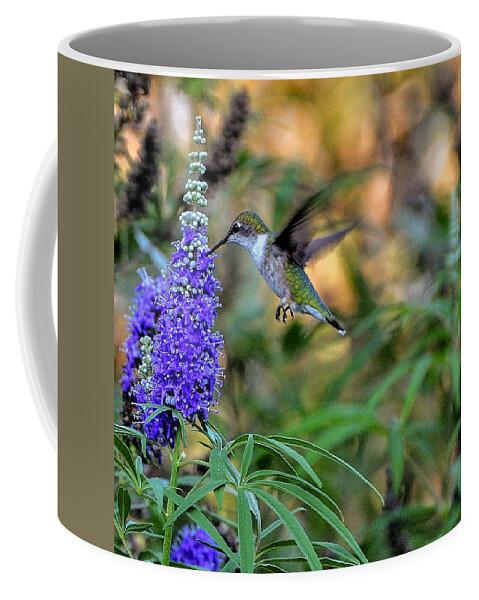 Bird Coffee Mug featuring the photograph Hummingbird by John Johnson