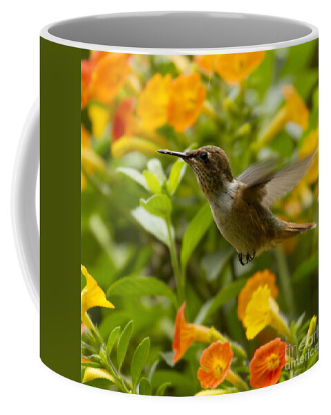 Bird Coffee Mug featuring the photograph Hummingbird looking for food by Heiko Koehrer-Wagner