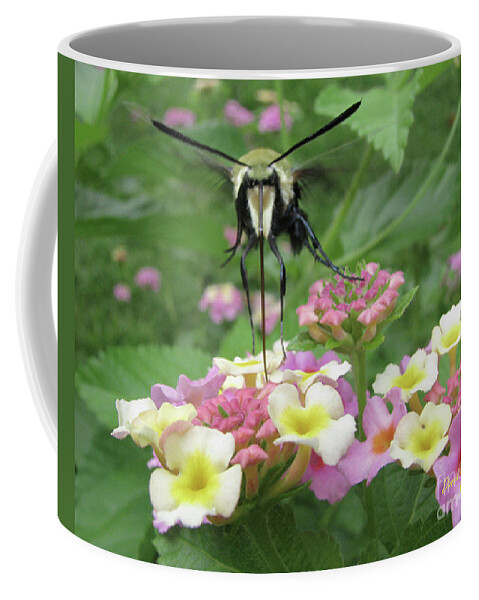  Insect Coffee Mug featuring the photograph Hummingbird Moth by Donna Brown
