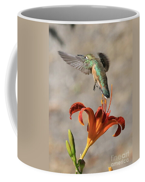 Hummingbird Coffee Mug featuring the photograph Hummingbird over the Daylily by Carol Groenen