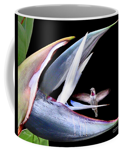 Hummingbird Coffee Mug featuring the photograph Hummingbird Paradise by Jennie Breeze