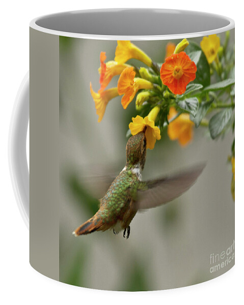 Bird Coffee Mug featuring the photograph Hummingbird sips Nectar by Heiko Koehrer-Wagner