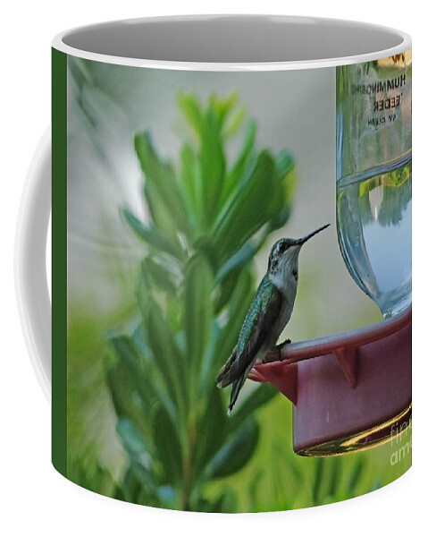 Hummingbird Coffee Mug featuring the photograph Hummingbird Still Life by Lizi Beard-Ward