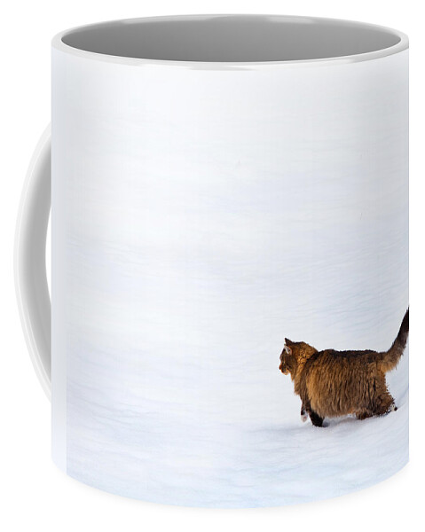 Domestic Cats Coffee Mug featuring the photograph Hunter At Work by Theresa Tahara