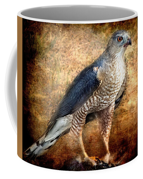  Coffee Mug featuring the photograph Hunting Hawk by Melissa Bittinger
