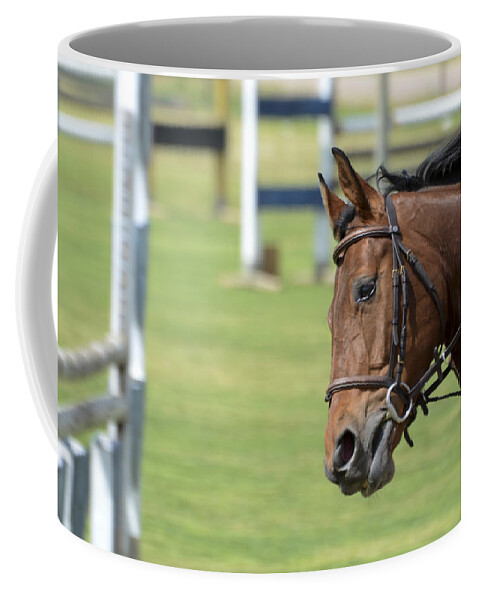 Horse Racing Coffee Mug featuring the photograph Hurdle Race by Amir Paz