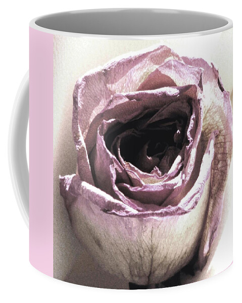 Roses Coffee Mug featuring the photograph Hush by Angela Davies