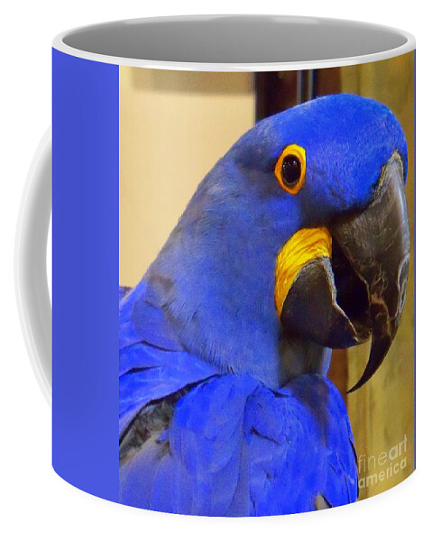 Bird Coffee Mug featuring the photograph Hyacinth Macaw Portrait by Lingfai Leung