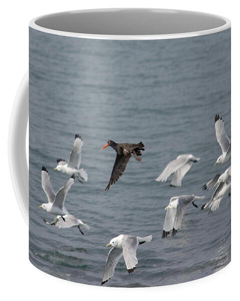 Gulls Coffee Mug featuring the photograph I Don't Think They'll Notice Me by Jim Cook