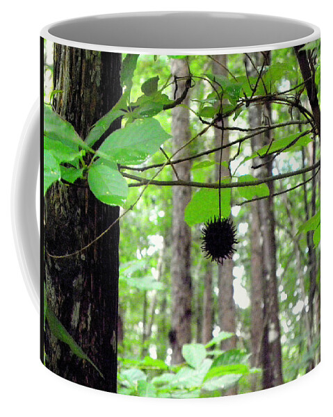Forest Coffee Mug featuring the photograph I Hang Alone by Kim Galluzzo
