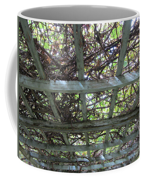 Trellis Coffee Mug featuring the photograph I Heard It Through The Grapevine by Susan Carella