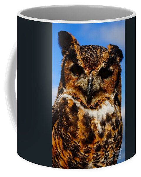 Owls Coffee Mug featuring the photograph I know what your thinking by Jeffery L Bowers