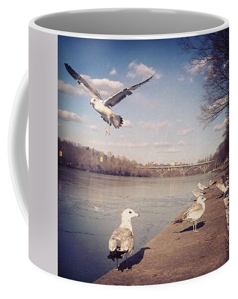 Kellydr Coffee Mug featuring the photograph I Made These Friends During A Quick by Katie Cupcakes