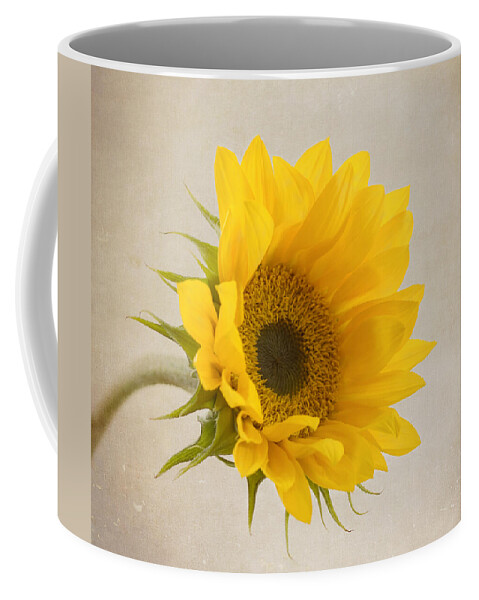 Sunflower Coffee Mug featuring the photograph I See Sunshine by Kim Hojnacki