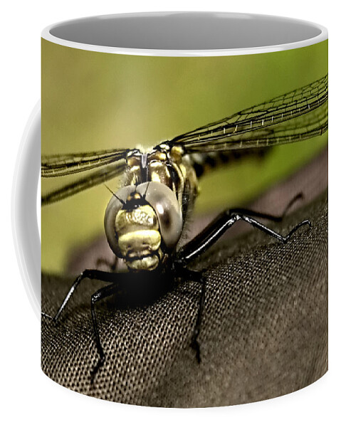 Dragon Fly Coffee Mug featuring the photograph I see you by Gary Wightman