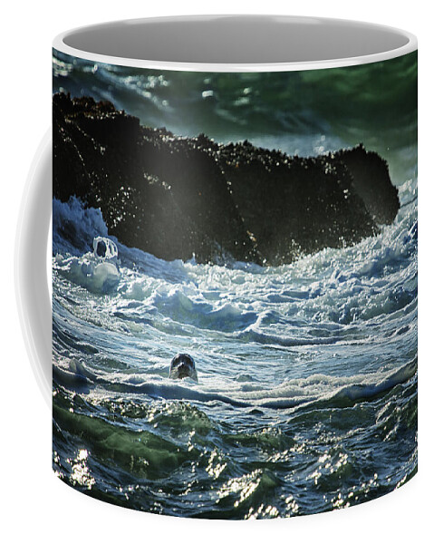 Seal Coffee Mug featuring the photograph I Spy a Seal by Belinda Greb