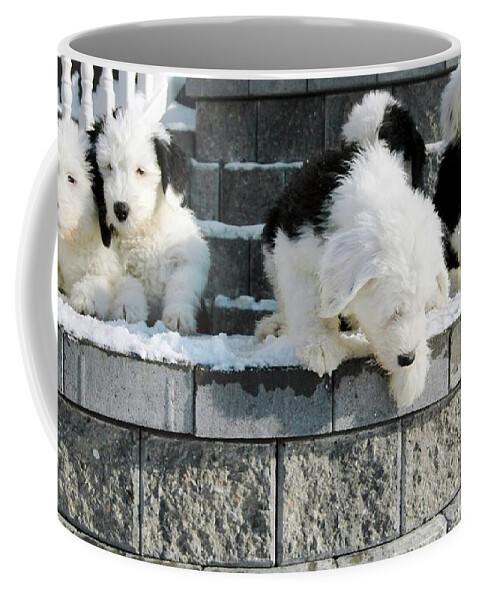 #pixelslovesdogs Old Coffee Mug featuring the photograph I Want To Jump by Kathleen Struckle