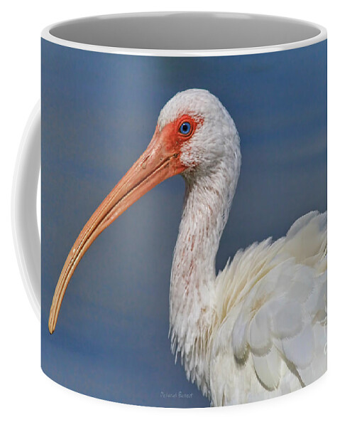 Ibis Coffee Mug featuring the photograph Ibis Ruffled by Deborah Benoit