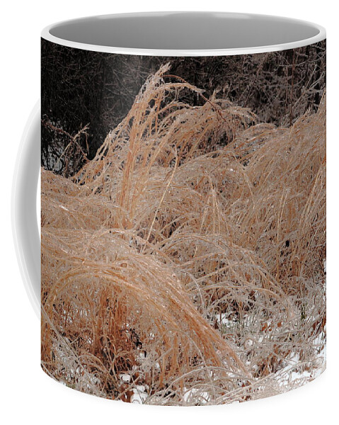 Ice Coffee Mug featuring the photograph Ice And Dry Grass by Daniel Reed