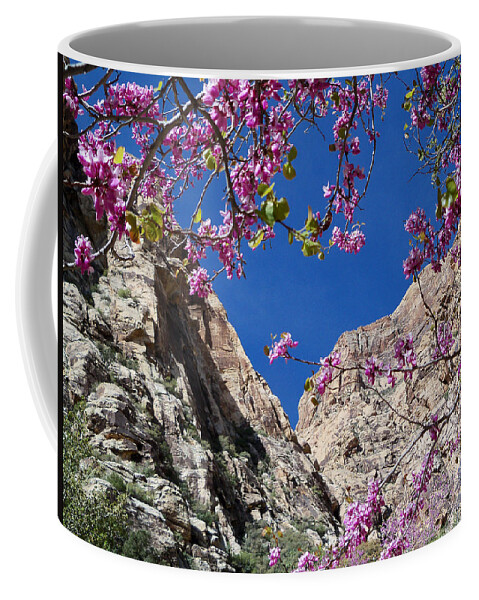 Icebox Coffee Mug featuring the photograph Ice Box Canyon in April by Alan Socolik