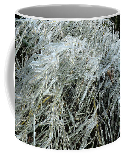 Ice Coffee Mug featuring the photograph Ice On Bamboo Leaves by Daniel Reed