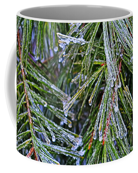 Ice Coffee Mug featuring the photograph Ice On Pine Needles by Daniel Reed
