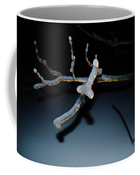 Ice Coffee Mug featuring the photograph Ice Storm 7 by Susan Moore