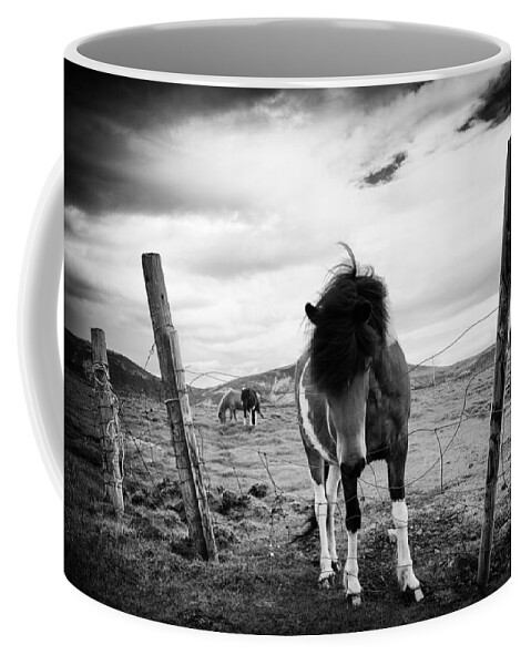 Iceland Coffee Mug featuring the photograph Icelandic horse in Iceland black and white by Matthias Hauser