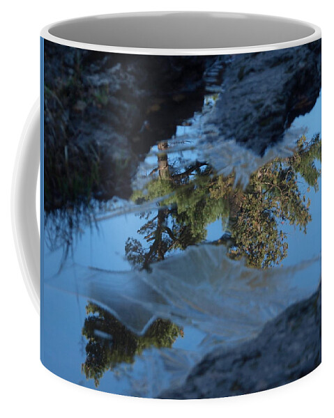 Jim Coffee Mug featuring the photograph Icy Evergreen Reflection by James Peterson
