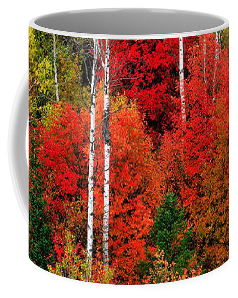 Idaho Coffee Mug featuring the photograph Idaho Autumn by Greg Norrell