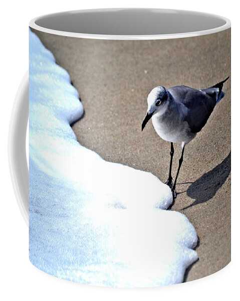 Seagull Coffee Mug featuring the photograph I'll Just Stick My Toes In by Tara Potts
