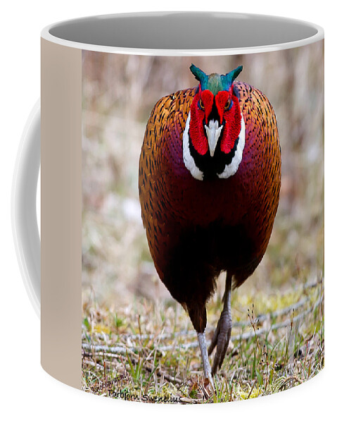 I'm Coming To Get You! Coffee Mug featuring the photograph I'm coming to get you by Torbjorn Swenelius